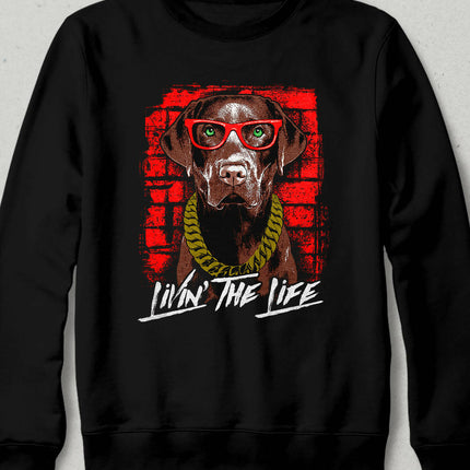 Cool Dog Sweatshirt