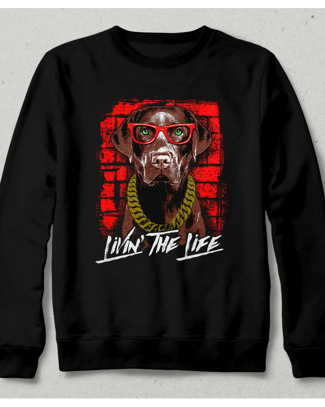 Cool Dog Sweatshirt