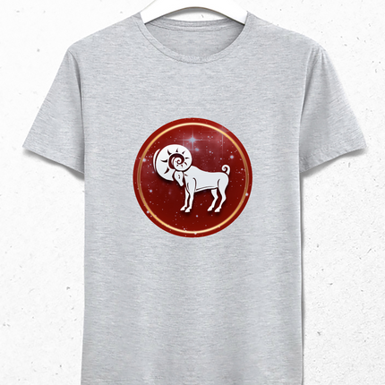 Aries t-shirt 