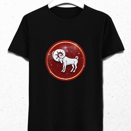 Aries t-shirt 