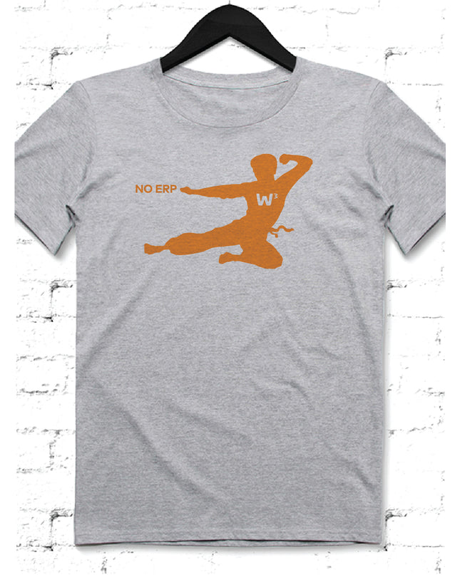 NO ERP grey 03 - basmatik.com