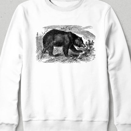 Bear Sweatshirt
