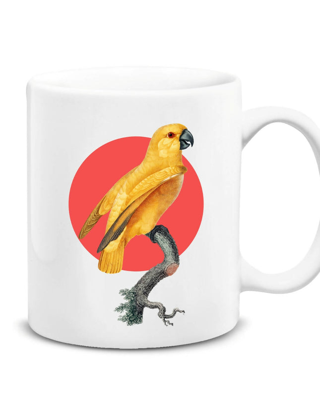 Parrot Cup 2