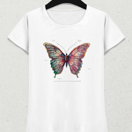 !!Butterfly!!