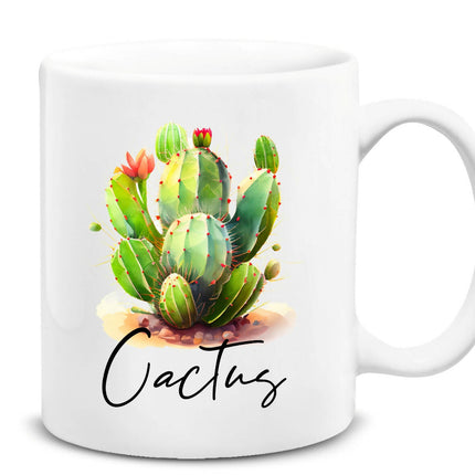 Cactus Cup 2