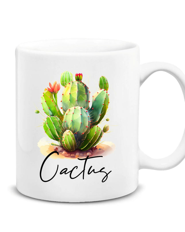 Cactus Cup 2