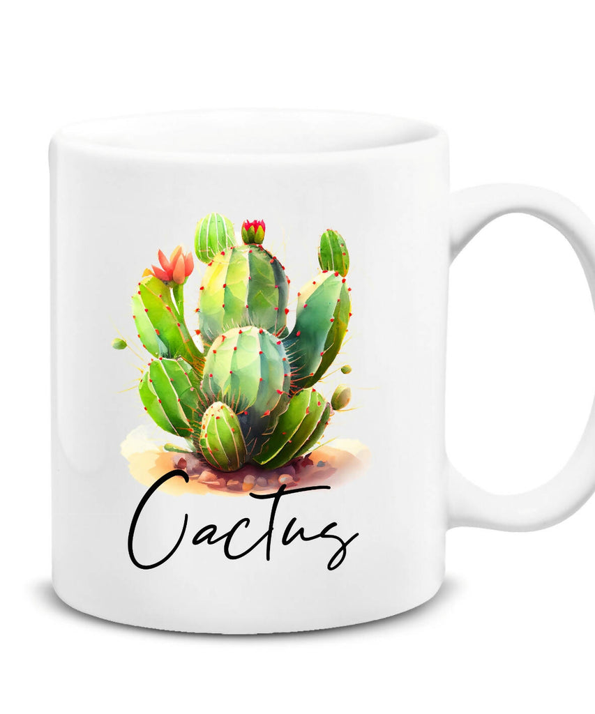 Cactus Cup 2